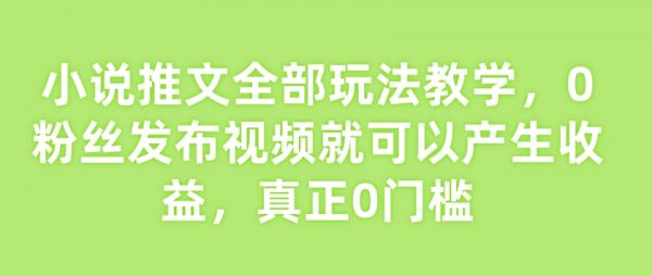小说推文全部玩法教学,0粉丝发布视频就可以产生收益,真正0门槛