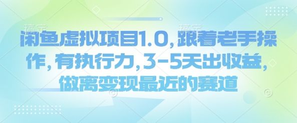 闲鱼虚拟项目1.0,跟着老手操作,有执行力,3-5天出收益,做离变现最近的赛道