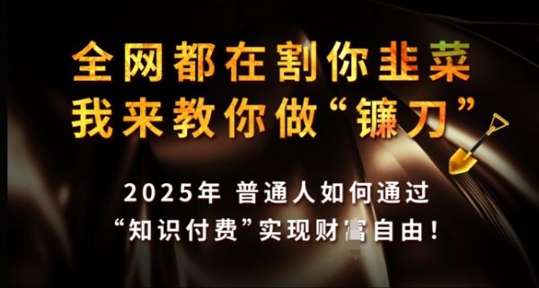 全网都在割你韭菜，我来教你做镰刀，2025年普通人如何通过 知识付费 实现财F自由【揭秘】-副业资源站