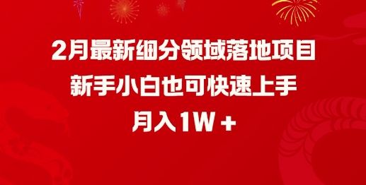 2月最新细分领域落地项目，新手小白也可快速上手，月入1W-副业资源站
