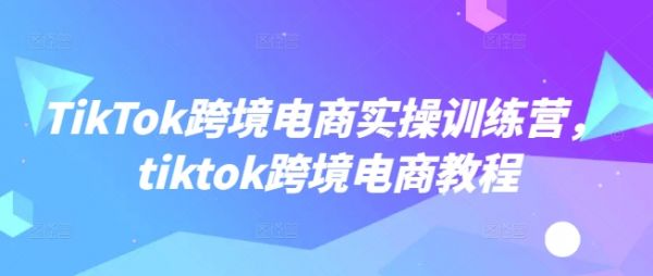 TikTok跨境电商实操训练营，tiktok跨境电商教程-副业资源站