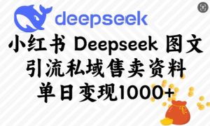 小红书Deepseek图文引流私域售卖资料,单日变现多张-副业资源站