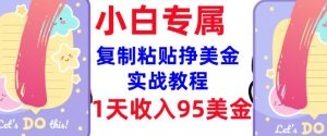 复制粘贴挣美金,0门槛,1天收入95美刀,3分钟学会,内部教程(首次公开)-副业资源站