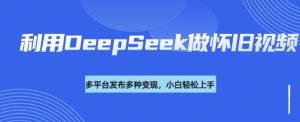 利用DeepSeek做怀旧视频,流量号多渠道变现能力强-副业资源站