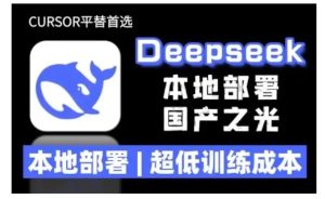 2025年deepseek R1 大型模型本地安装部署(文件+教程)本地部署，超低训练成本-副业资源站