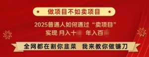 必看，做项目不如卖项目，2025普通人如何通过“卖项目”实现月入十个，年入百个-副业资源站
