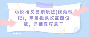 小说推文最新玩法(视频标记)，单条视频收益四位数，详细教程来了-副业资源站