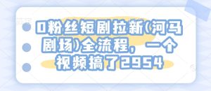 0粉丝短剧拉新(河马剧场)全流程，一个视频搞了2954-副业资源站