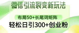 微信引流裂变新玩法：布局50+长尾词矩阵，轻松日引300+创业粉-副业资源站