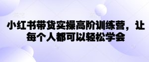 小红书带货实操高阶训练营,让每个人都可以轻松学会-副业资源站