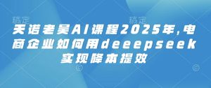 天诺老吴AI课程2025年,电商企业如何用deeepseek实现降本提效-副业资源站