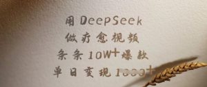 用DeepSeek做疗愈视频,条条10W+爆款,单日变现多张-副业资源站