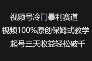视频号冷门暴利赛道视频100%原创保姆式教学起号三天收益轻松破千-副业资源站