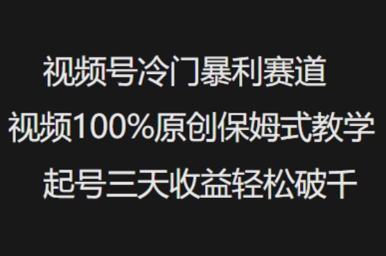 视频号冷门暴利赛道视频100%原创保姆式教学起号三天收益轻松破千-副业资源站