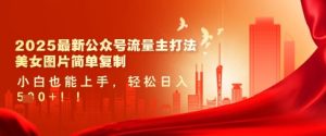 2025最新公众号流量主打法，美女图片简单复制，小白也能上手，轻松日入5张-副业资源站