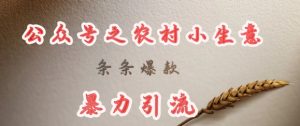 deepseek写农村小项目，条条爆款，暴力引流-副业资源站