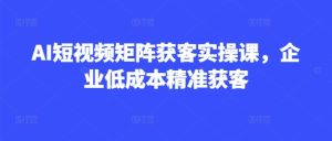 AI短视频矩阵获客实操课，企业低成本精准获客-副业资源站