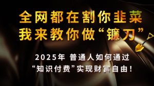 全网都在割你韭菜，我来教你做镰刀，2025普通人如何通过知识付费，实现财F自由【揭秘】-副业资源站