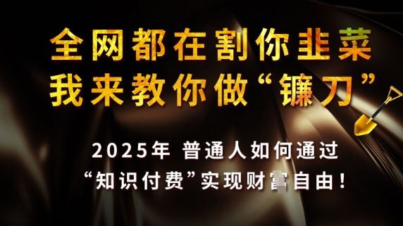 全网都在割你韭菜，我来教你做镰刀，2025普通人如何通过知识付费，实现财F自由【揭秘】-副业资源站