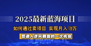 2025蓝海项目,普通人如何通过卖项目,实现月入过W,全过程【揭秘】-副业资源站