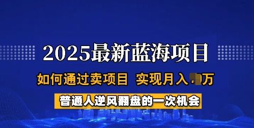 2025蓝海项目,普通人如何通过卖项目,实现月入过W,全过程【揭秘】