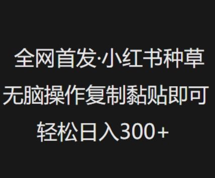 全网首发，小红书种草无脑操作，复制黏贴即可，轻松日入3张-副业资源站