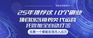 25年推荐这10个副业项目包含褂鸡类、代运营托管类、全自动打金类【揭秘】-副业资源站