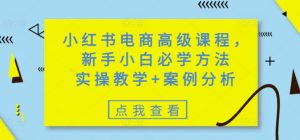 小红书电商高级课程，新手小白必学方法，实操教学+案例分析-副业资源站