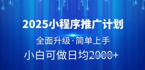 2025小程序推广计划，全面升级，简单上手，日均多张【揭秘】-副业资源站