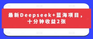 最新Deepseek+蓝海项目，十分钟收益2张-副业资源站
