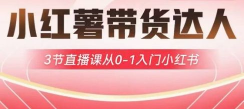 小红薯达人带货启航计划，3节直播课从0-1入门小红书-副业资源站