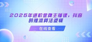 2025年进阶金牌主播课,抖音的推流算法逻辑-副业资源站
