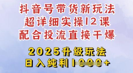 2025全新升级抖音带货玩法，一天纯利四位数，从剪辑到选品再到发布投流，超详细玩法揭秘-副业资源站