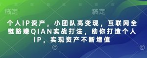 个人IP资产,小团队高变现,互联网全链路赚QIAN实战打法,助你打造个人IP,实现资产不断增值-副业资源站