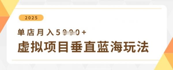 虚拟项目垂直玩法，实现单店月入5k+-副业资源站