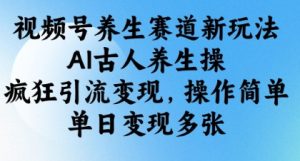 视频号养生赛道新玩法，AI古人养生操，疯狂引流变现，操作简单，单日变现多张-副业资源站