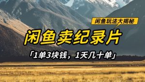 闲鱼卖纪录片1单3块钱，1天几十单，项目稳定有潜力-副业资源站