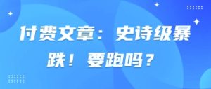付费文章：史诗级暴跌！要跑吗？-副业资源站