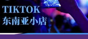 Tiktok东南亚跨境小店运营班,一门专业的TK小店运营培训课-副业资源站