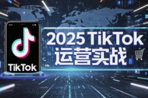 2025TikTok电商运营，掌握TikTok店铺运营核心技巧，实现低成本高转化-副业资源站