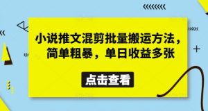小说推文混剪批量搬运方法，简单粗暴，单日收益多张-副业资源站