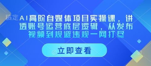 AI高阶自媒体项目实操课,讲透账号运营底层逻辑,从发布视频到规避违规一网打尽