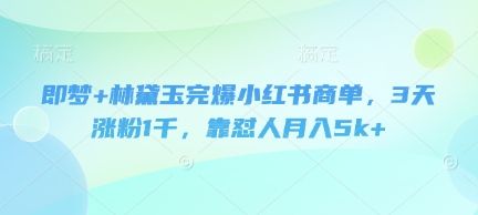 即梦+林黛玉完爆小红书商单，3天涨粉1千，靠怼人月入5k+-副业资源站
