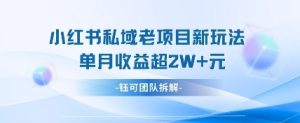小红书私域项目新玩法,单月变现过W+-副业资源站