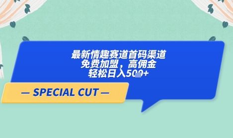 【轻云】最新情趣赛道首码渠道，免费加盟，高佣金，轻松日入5张+-副业资源站