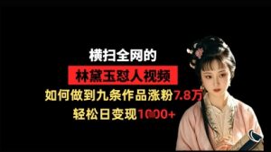 横扫全网的林黛玉怼人视频，如何做到九条作品涨粉7.8万，轻松日变现1k-副业资源站