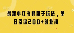 最新小红书野路子玩法，单日引流200+创业粉-副业资源站