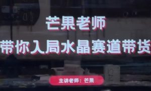 芒果老师·带你入局水晶赛道带货,助你开启水晶直播带货事业-副业资源站