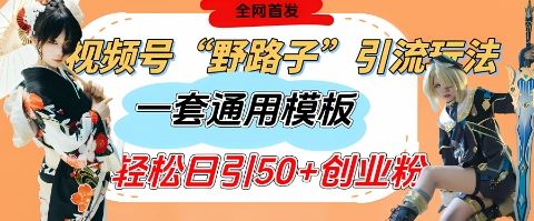 视频号“野路子”玩法，评论区疯狂截流，一套模板单日单号引流50+创业粉-副业资源站