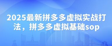 2025最新拼多多虚拟实战打法,拼多多虚拟基础sop